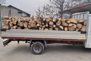 Soferul unei autoutilitare, depistat de jandarmii constanteni transportand lemne fara documente legale. Ce amenda a primit 