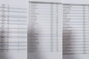 FOTO/ Florin Roman: Parlamentarii PSD de Alba, Ioan Dîrzu şi Daniel Breaz au votat ”împotrivă” la toate proiectele şi amendamentele propuse de PNL pentru majorarea alocaţiilor şi indexarea pensiilor