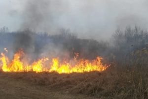 Ialomiţa: 16 incendii la vegetaţia uscată de pe zeci de hectare de teren, înregistrate în numai 24 de ore.
