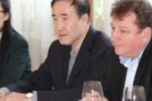 Chinezii iau pulsul staţiunii Băile Herculane