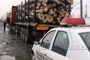 Camioane pline cu lemne tăiate ilegal, descoperite în Vrancea