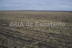 Un investitor doreste elaborarea unui PUZ pentru un teren arabil din Lazu. Va construi locuinte si case de vacanta (document)