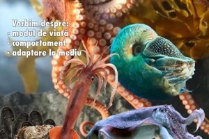 Moluşte marine, terestre şi dulcicole, de luni, la Muzeul de Știinţele Naturii