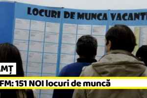 NEAMȚ: AJOFM: 151 NOI locuri de muncă, comunicate în săptămâna 18-22 februarie