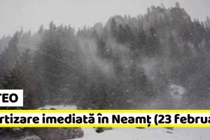 METEO: Avertizare imediată în judeţul Neamţ (23 februarie). Vânt puternic