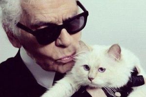 Pisica Choupette, moştenitoarea averii designerului german Karl Lagerfeld