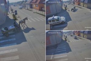 FOTO/ Deşeuri transportate cu căruţa, pentru a fi aruncate pe câmp, la Sebeş. Doi localnici au fost amendaţi de poliţişti