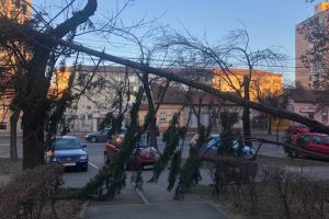 Bilanţul vijeliei de vineri: Copaci rupţi de vânt, acoperişuri zburate, sate în beznă şi incendii