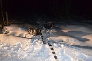 Focuri de arma pentru prinderea unor suspecti de contrabanda cu tigari. Ce au gasit politistii de frontiera (galerie foto)