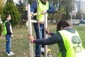 Proiectul Trees need people - Constanta Restart“ capata amploare: Zeci de elevi, studenti si profesorii lor, voluntari la marea plantare