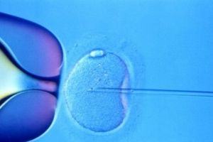 Experienţa Fertilizării In Vitro. Un cuplu din Timişoara a străbătut Europa pentru un copil