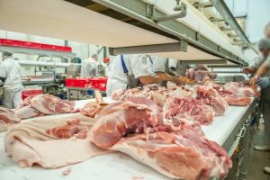 Amenzi aplicate în Harghita în urma unor controale pe linia prevenirii răspândirii pestei porcine