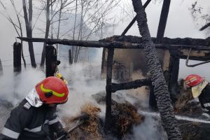 Pagube de peste 60.000 de lei, în urma unor incendii izbucnite sâmbătă în judeţ
