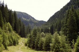 Unităţile de cult ortodox primesc sentinţe favorabile în procesele intentate de Romsilva