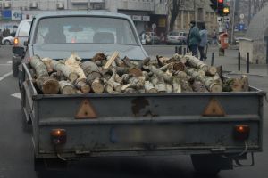 Cu ochii pe hoţi: trei transporturi ilegale de lemne de foc au fost confiscate în Bihor