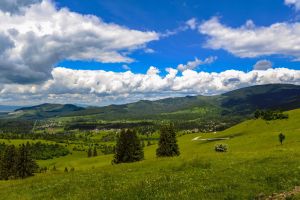 Cea mai mare suprafaţă de pajişti din România se află în judeţul Harghita