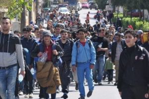 Primarii, OBLIGAŢI să protejeze imigranţii