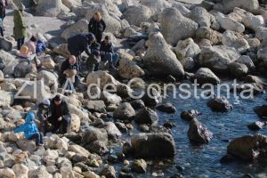 Cum va fi vremea la Constanta de Martisor. Prognoza meteo pe urmatoarele doua saptamani