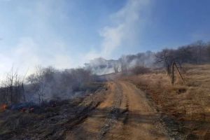 VIDEO: INCENDIU de vegetaţie uscată în Alba Iulia. Pompierii intervin pentru stringerea flăcărilor
