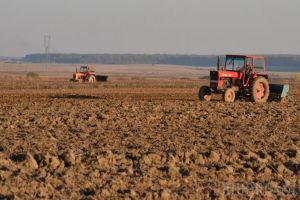 Cereţi-vă drepturile! APIA preia începând din 1 martie cererile unice de plată pentru 2019