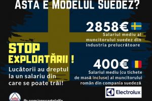 Angajaţii Electrolux din Satu Mare au salarii de 7 ori mai mici decât cei din Suedia!