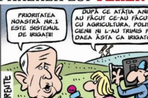 Părerea lui Terente