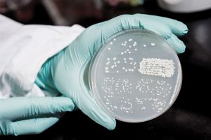 Record de infecţii nosocomiale raportate de Spitalul Judeţean din Miercurea Ciuc