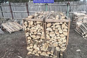 Feteşti: Acţiuni pentru combaterea contravenţiilor silvice