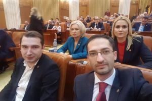 Deputatii au votat: Retelele de gaz si electricitate, finantate prin PNDL