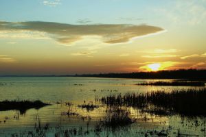 Lacul Brateş, paradisul pierdut din cauza incompetenţei guvernanţilor