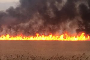Incendiu in judetul Tulcea. Interventia este ingreunata din cauza vantului (galerie foto)