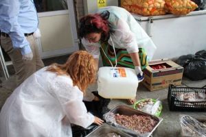 Amenzi de peste 400.000 de lei date de D.S.V.S.A. Braşov