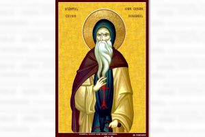 #citesteDobrogea: Vasile Parvan atesta originea dobrogeana a celui mai mare dascal ascet al lumii crestine - Ioan Casian