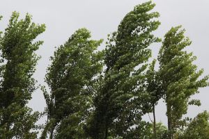 Ialomiţa: Avertizare METEO