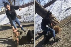 VIDEO – Bătaie între două eleve de la Pedagogic şi ’’Avram Iancu’’ în Parcul Cetăţii. ’’Te omor!’’