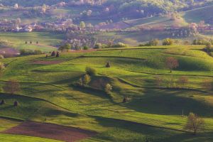 Vremea de 1 martie – Primăvara ne zâmbeşte din prima zi