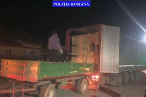 Amendă de 3.000 de lei pentru un bărbat din Alba, prins că transporta lemn fără avize de însoţire