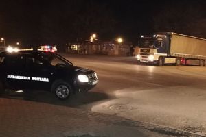 Brad: Prins de poliţişti cu lemn furat într-un TIR