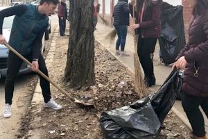 Elevi ai Colegiului Naţional Bănăţean au luat iniţiativa şi au făcut curăţenie în exteriorul şcolii