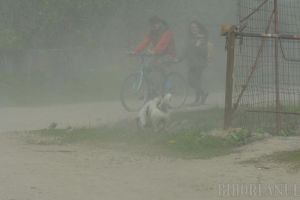 Cod galben: Rafale de vânt în Oradea şi mai multe localităţi din Bihor!