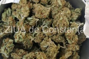Tineri banuiti de trafic si consum de droguri de risc, prinsi in flagrant delict (galerie foto) 