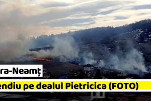 NEAMȚ: Incendiu pe dealul Pietricica din Piatra-Neamţ (FOTO)