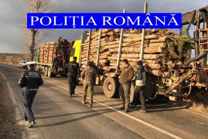 Transport ilegal de lemne, depistat de jandarmii gălăţeni