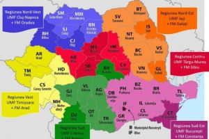 Apel naţional: Se caută coordonatori regionali ai Grupului Tinerilor Medici de Familie