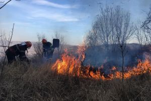 Incendiu de amploare in judetul Tulcea, in apropiere de Niculitel. Flacarile ameninta o padure din apropiere (galerie foto)