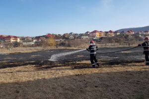 Incendiu la Babadag, judetul Tulcea. Flacarile riscau sa se extinda la casele din apropiere (galerie foto)