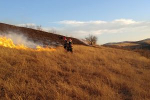 Alerta la ISU Delta. Un incendiu de amploare a izbucnit la Luncavita, judetul Tulcea. Pompierii, chemati in ajutor (galerie foto) 