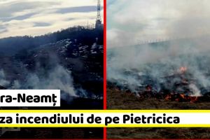 NEAMȚ: Cauza incendiului de pe Pietricica (FOTO-VIDEO)