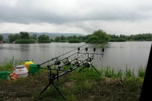 Cupa Help And Advice, ediţia a II-a, ”In memoriam Sorin Vezeteu”