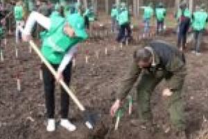 Plantează fapte bune! Se caută voluntari pentru a împăduri dealurile din comuna Topolovăţu Mare, unde există riscul alunecărilor de teren